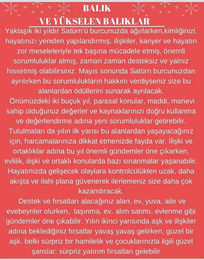 y2 (13).webp