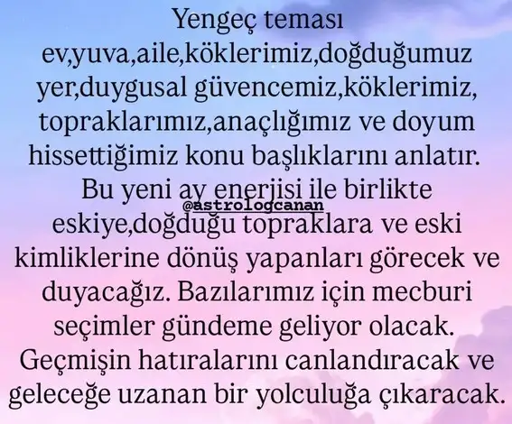 y2 (2).webp