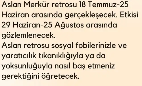 y2 (4).webp