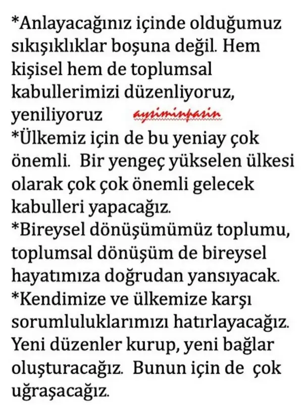 y2 (4).webp