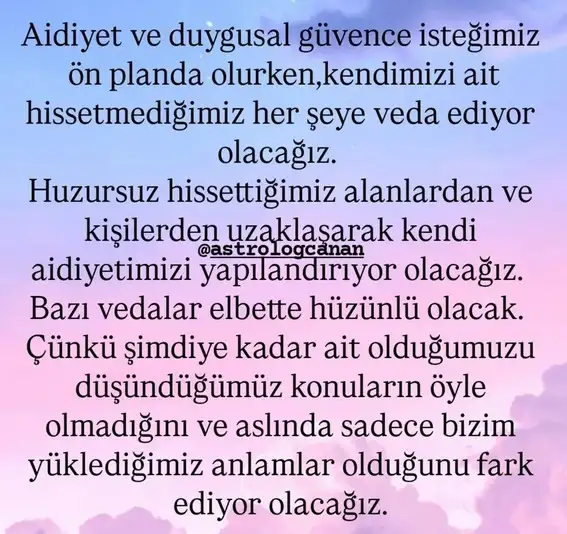 y2 (5).webp