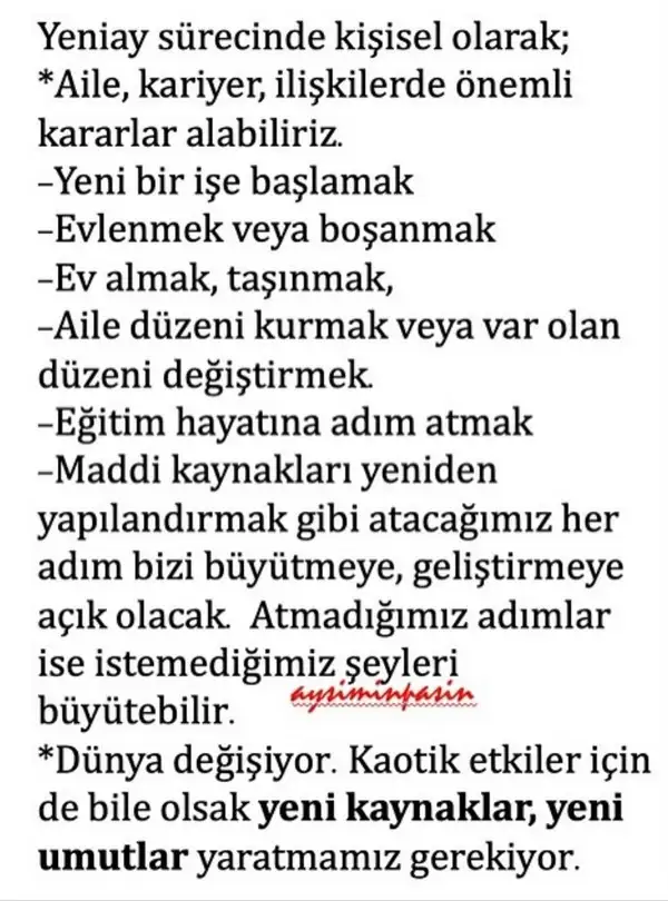 y2 (5).webp