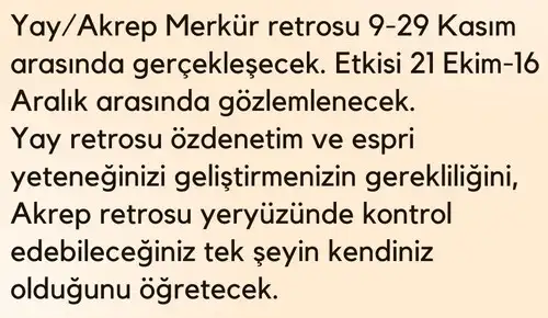y2 (6).webp