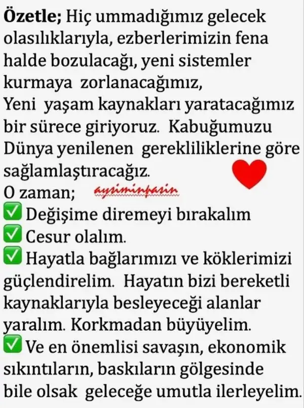 y2 (6).webp