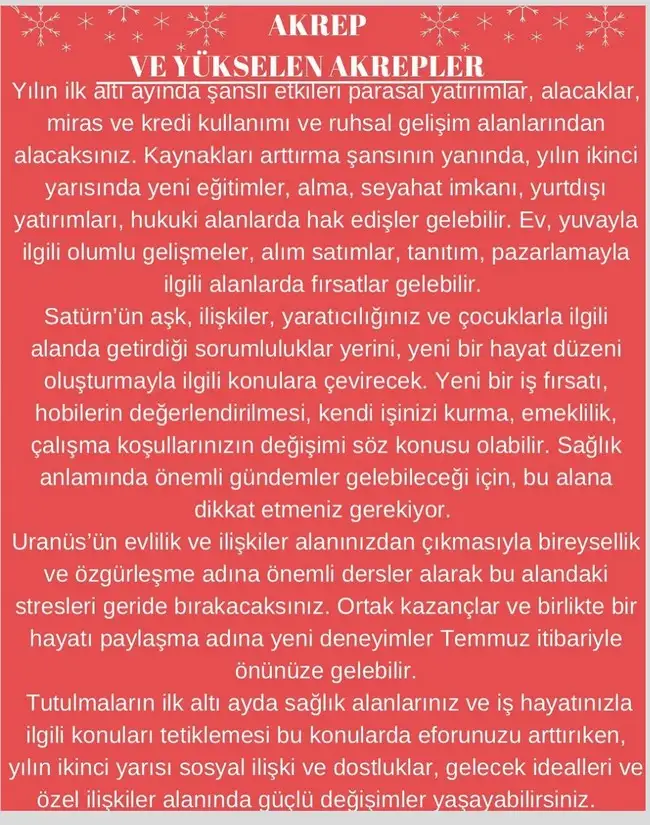 y2 (9).webp