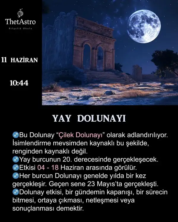 y20 (1).webp