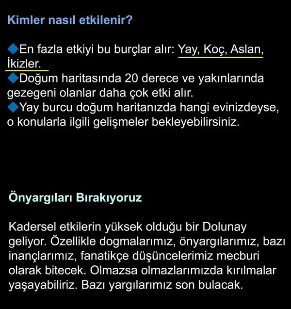 y20 (3).webp