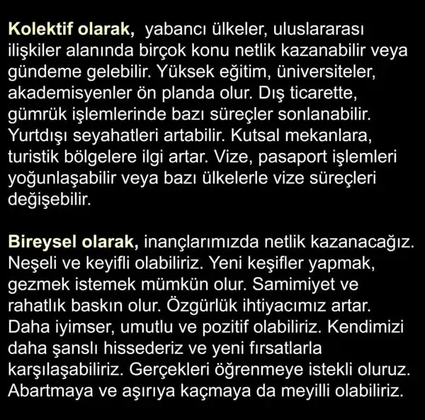 y20 (4).webp
