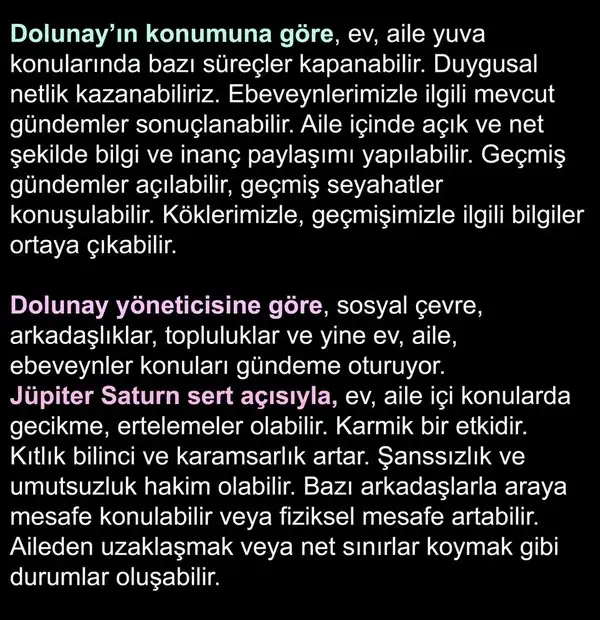 y20 (5).webp