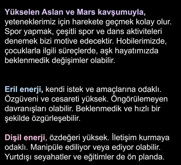 y20 (6).webp