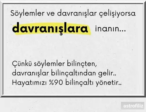 y20.webp
