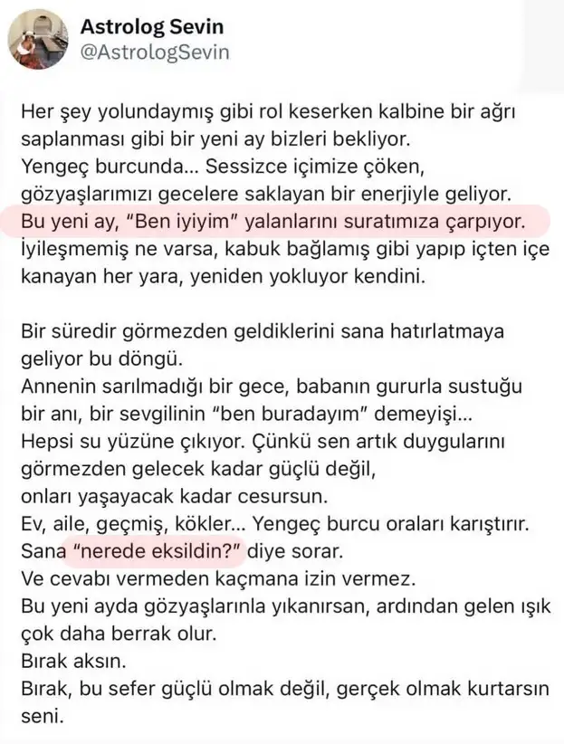 y20.webp