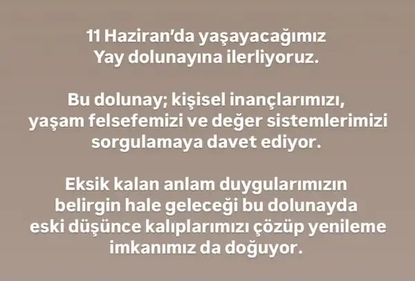 y21 (2).webp
