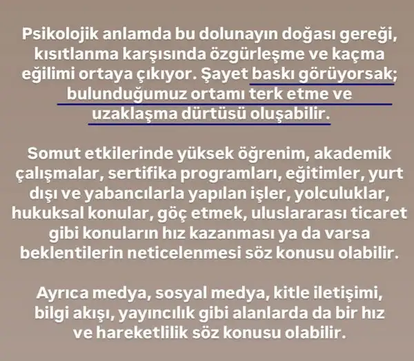 y21 (4).webp