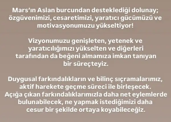 y21 (6).webp