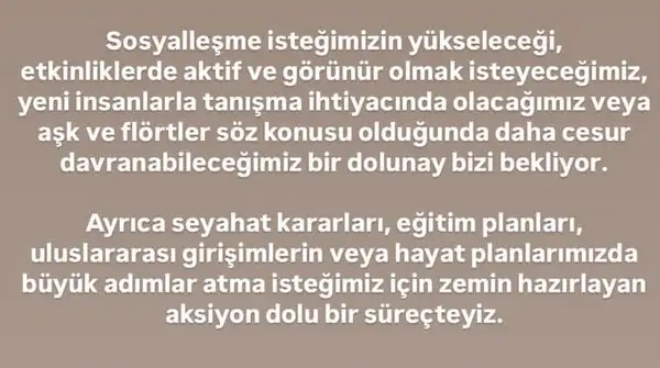 y21 (7).webp