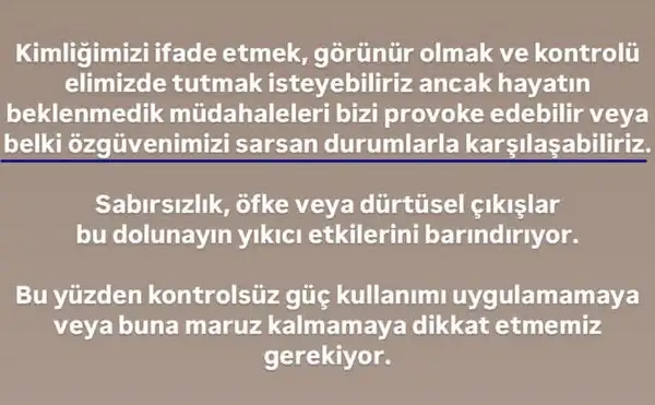y21 (9).webp
