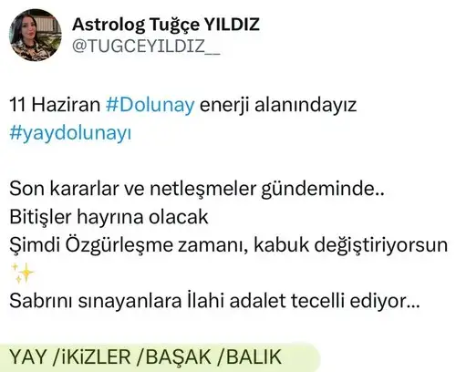 y23.webp