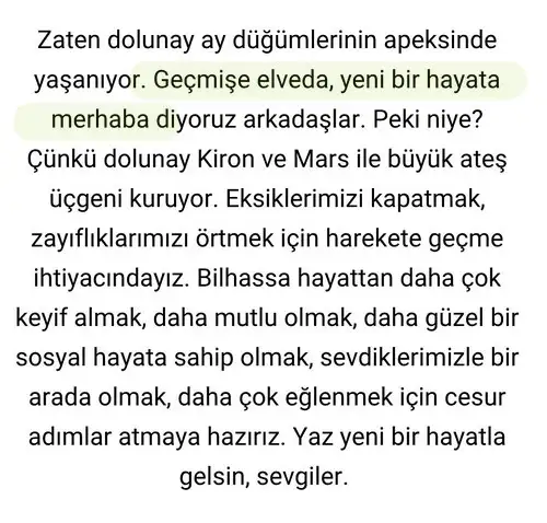 y24 (3).webp