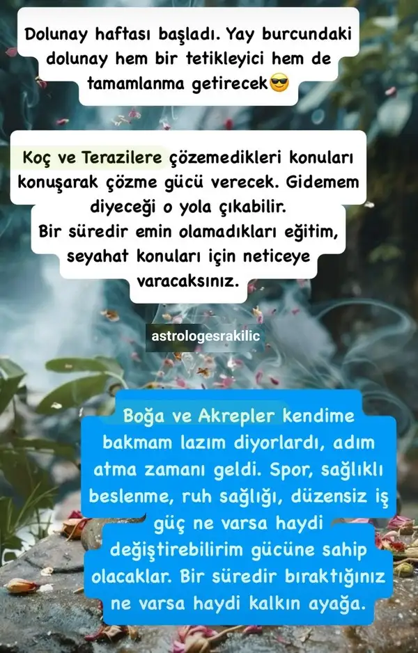 y24.webp