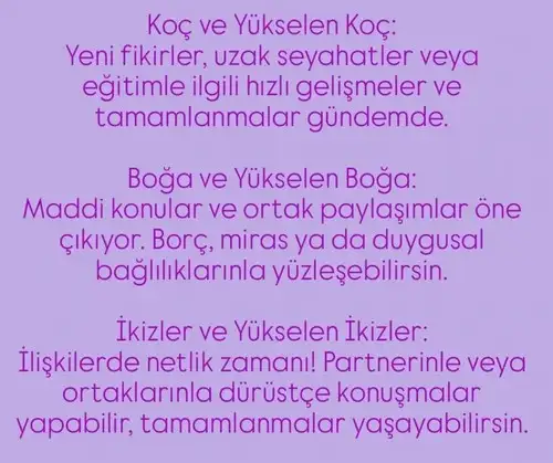 y26 (2).webp
