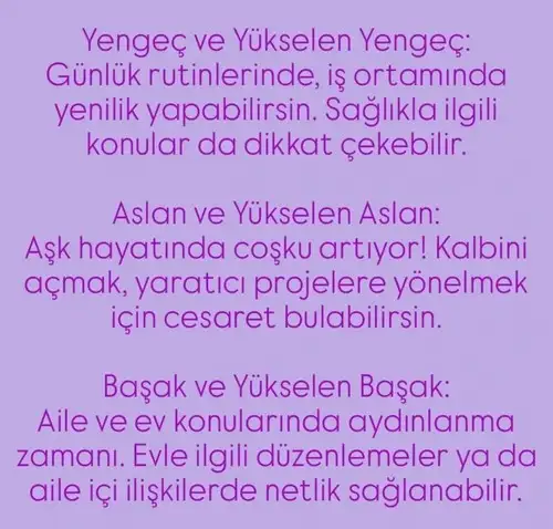 y26 (3).webp