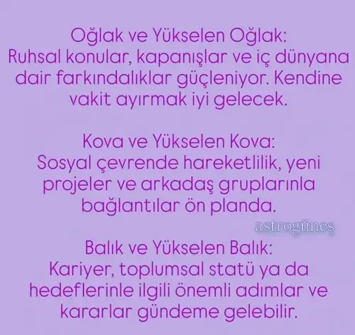 y26 (5).webp