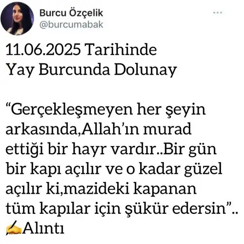 y29 (1).webp