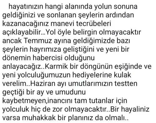 y29 (3).webp