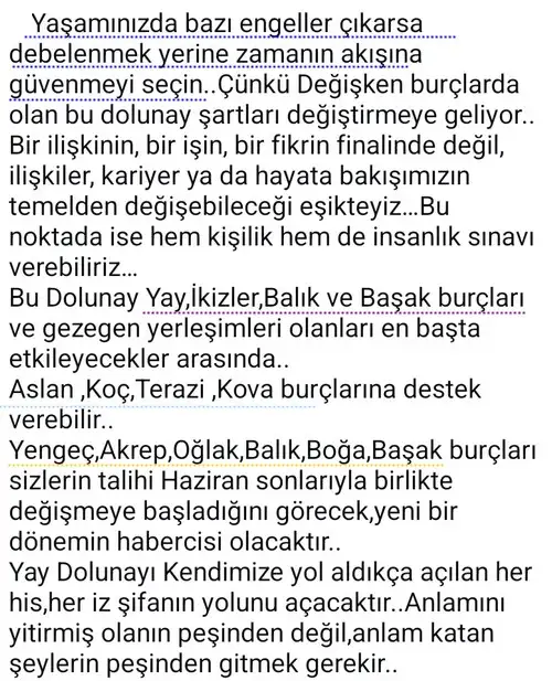 y29 (7).webp