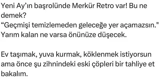 y3 (2).webp