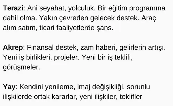 y3 (3).webp
