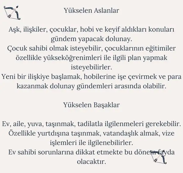 y3 (4).webp