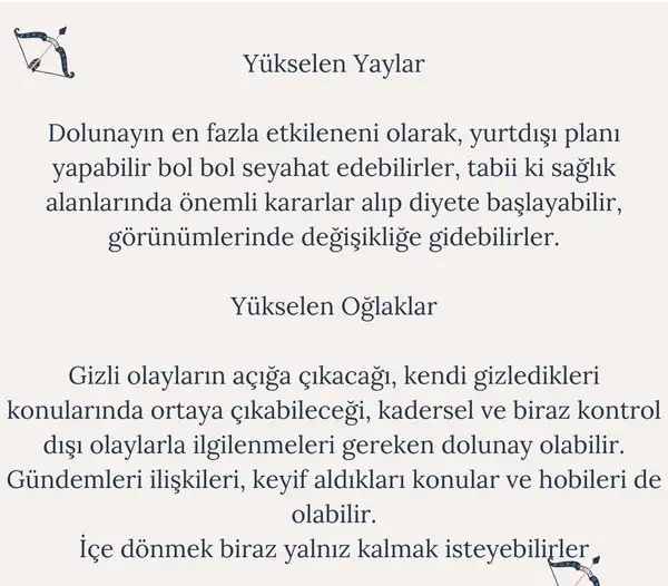 y3 (6).webp