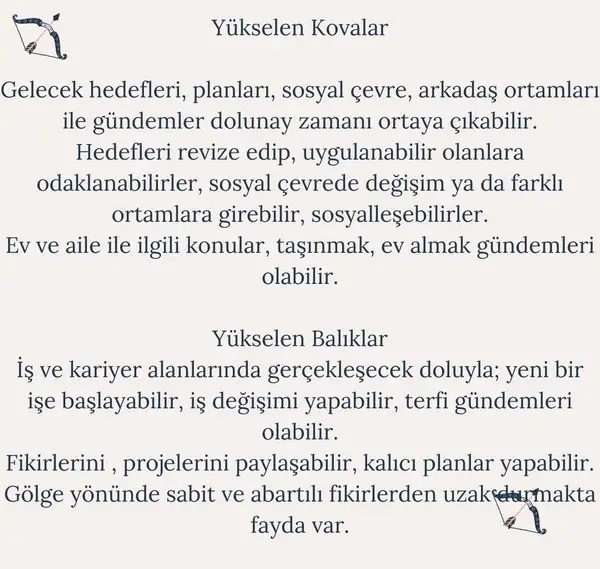 y3 (7).webp