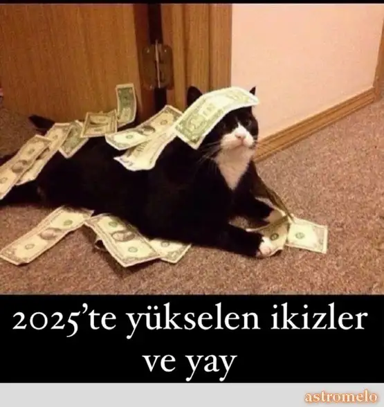 y3.webp