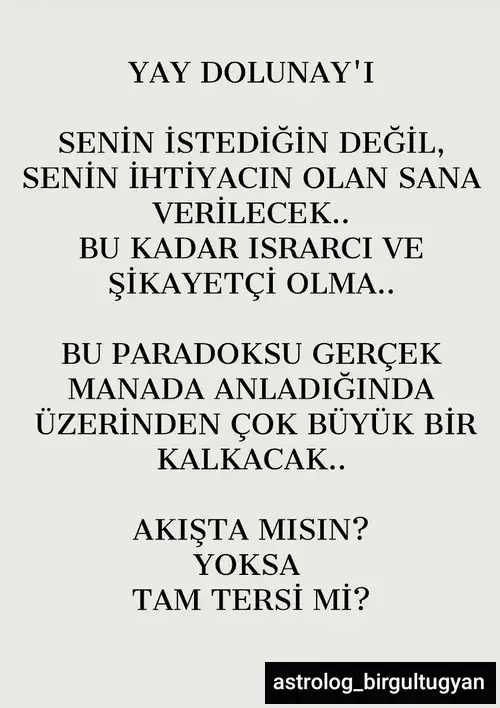 y35.webp