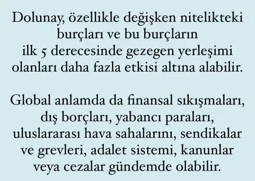 y4 (6).webp