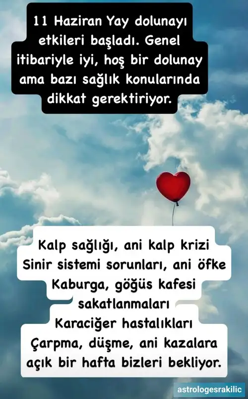 y44.webp