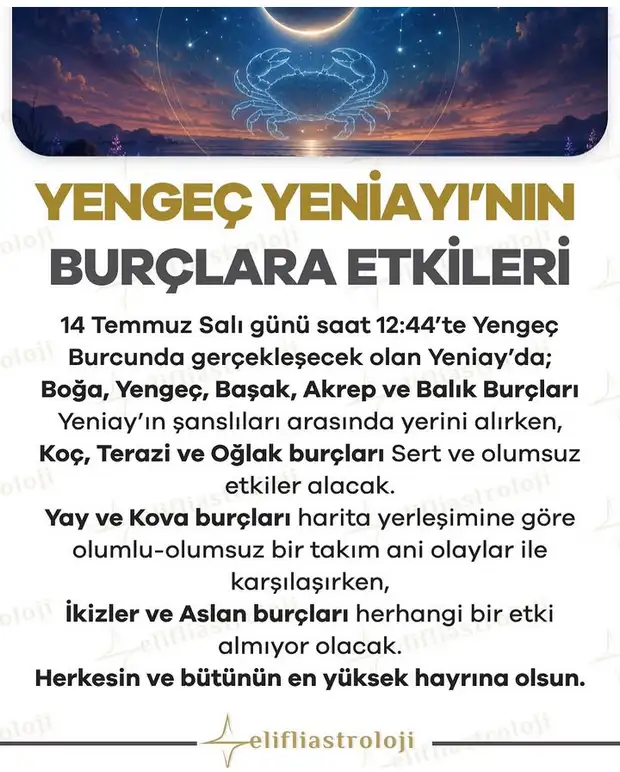 y45 (1).webp