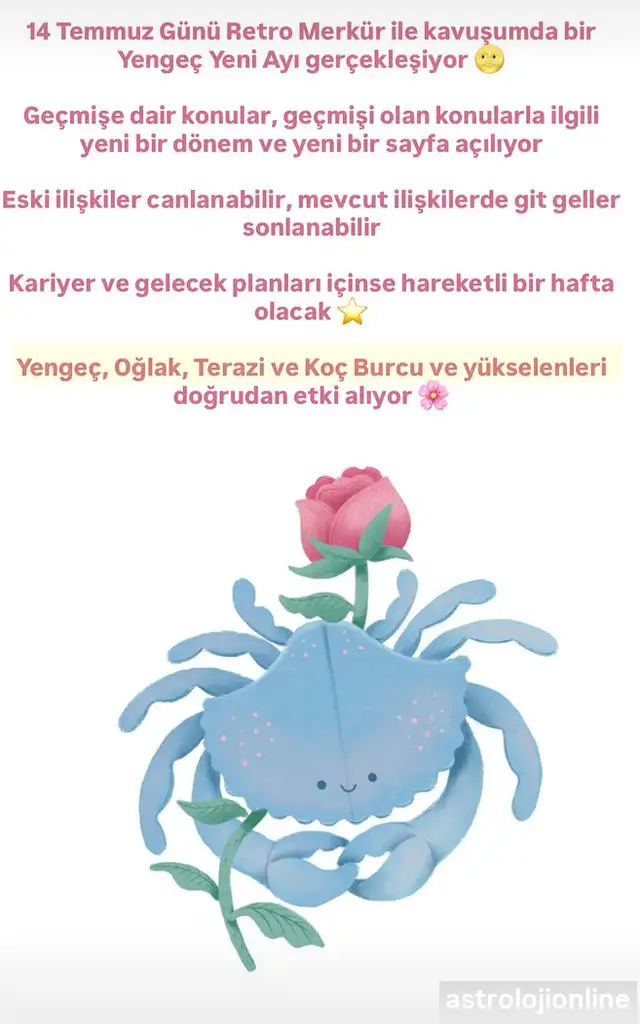 y45 (2).webp