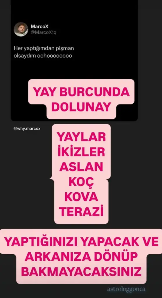 y46.webp
