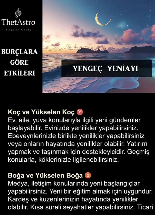 y5 (1).webp