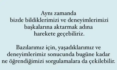 y5 (3).webp