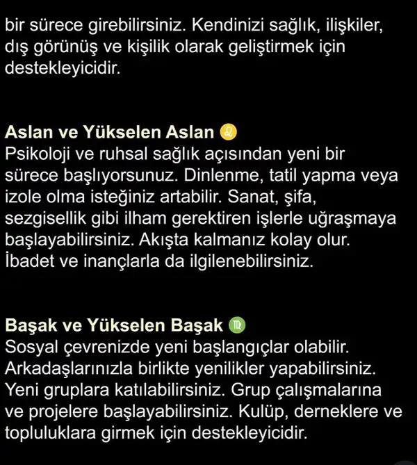 y5 (3).webp