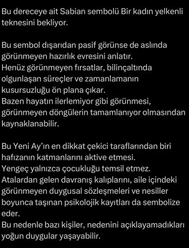 y5 (3).webp