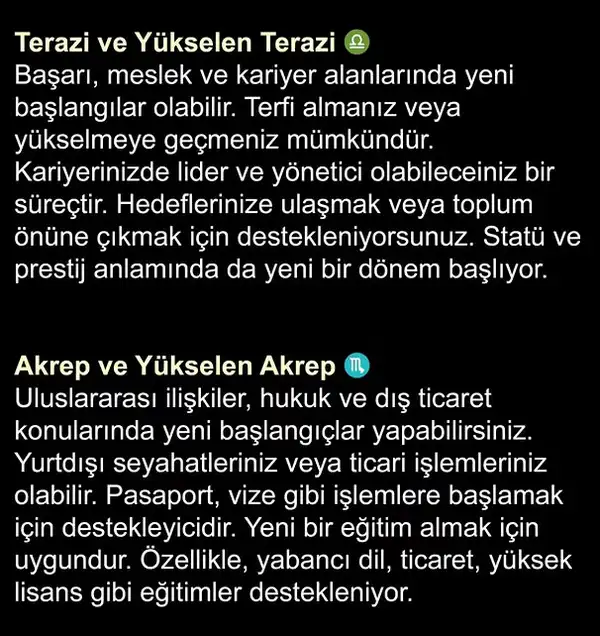 y5 (4).webp