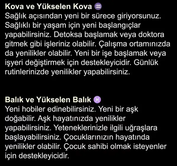 y5 (6).webp