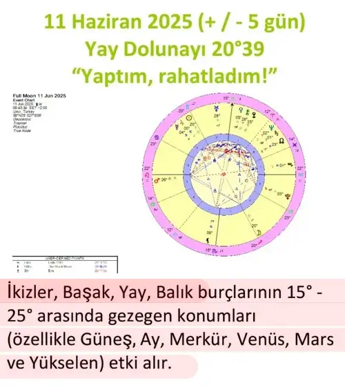 y50 (1).webp