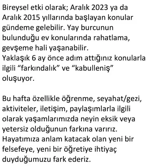 y50 (4).webp